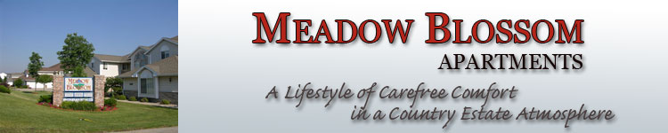 meadow blossom banner